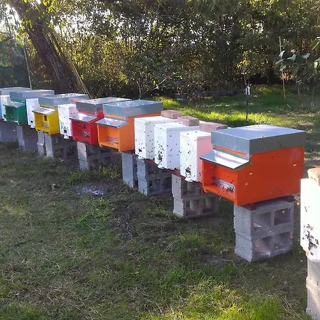 L'ape In Corte Casa Di Campagna, Via Francigena Stanze E Colazione Casa di campagna *