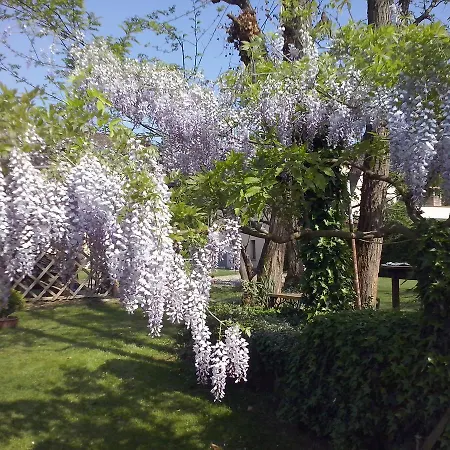 Casa di campagna L'ape In Corte Casa Di Campagna, Via Francigena Stanze E Colazione