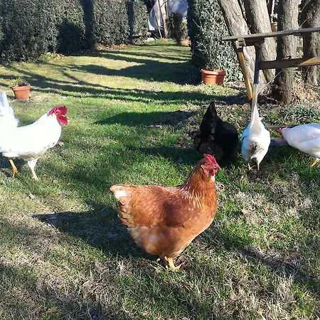 L'ape In Corte Casa Di Campagna, Via Francigena Stanze E Colazione * Vaccarizza