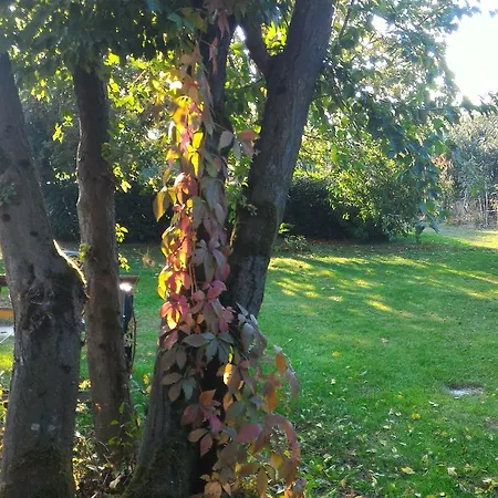 בית כפרי L'ape In Corte Casa Di Campagna, Via Francigena Stanze E Colazione *